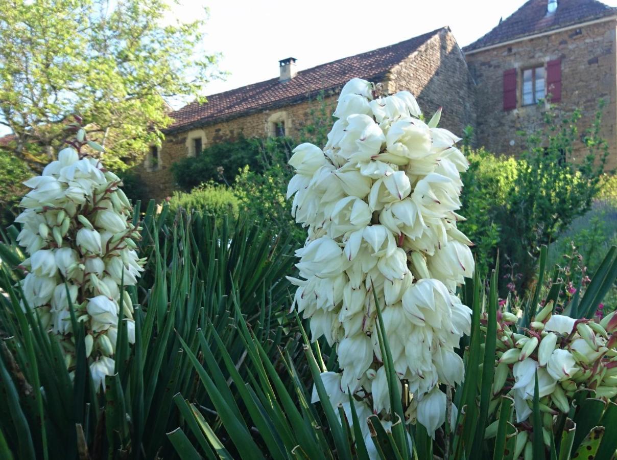 La Libellule And Le Papillon Gites At Les Leroux, Near Frayssinet-le-Gélat Exterior foto